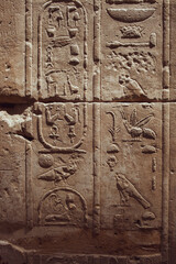 
The Karnak Temple Complex, commonly known as Karnak, comprises a vast mix of decayed temples, pylons, chapels, and other buildings near Luxor, Egypt.