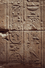 
The Karnak Temple Complex, commonly known as Karnak, comprises a vast mix of decayed temples, pylons, chapels, and other buildings near Luxor, Egypt.