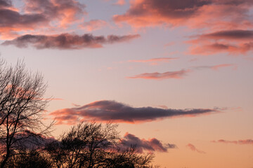 Tree branches against dramatic sunset sky at spring in United Kingdom