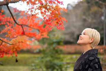 色づいた紅葉の下に立つ着物姿（大島紬）の金髪の日本人女性