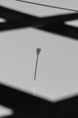 Signal towers and light poles