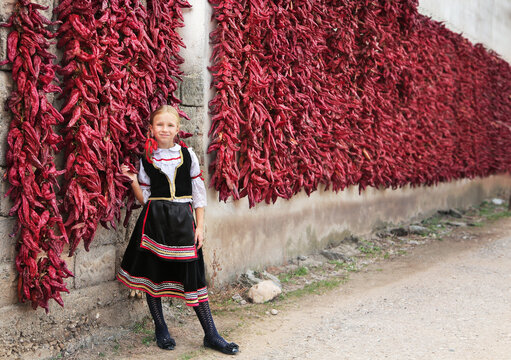Girl dressed on traditional Serbian Balkan clothing, national folk costume. Posing near of lot red paprika peppers.