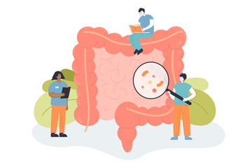 Team of tiny doctors checking bowel for inflammation. People examining intestines or colon, digestive system flat vector illustration. Health, medicine concept for banner or landing web page