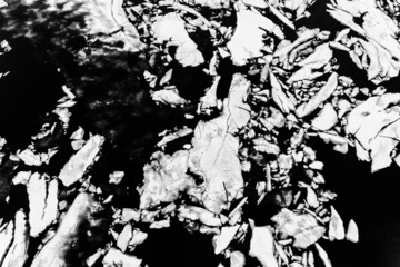 Aerial view of ice blocks on lake