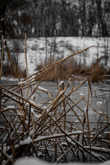 frozen lake in winter