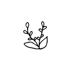 hand drawn outline element for easter, decorative plant