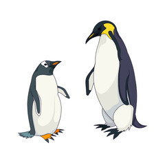 Gentoo penguin and Emperor penguin in Cartoon style, set of Aquatic flightless birds or penguins on white isolated background, concept of Pole bird and Antarctic Wildlife, Nature, Ornithology.