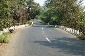 Asphalt road through the forest, with bike line along