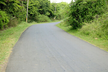 Asphalt road through the forest, with bike line along