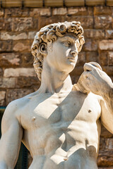Michelangelo's David statue located in Piazza della Signoria in Florence, Italy