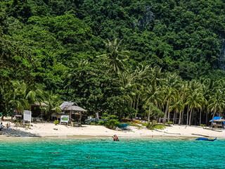 beach with trees