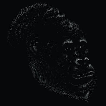 The Vector logo a monkey or gorilla named King Kong for tattoo or T-shirt design or outwear.  Cute print style a monkey or gorilla named King Kong background. This drawing would be nice to make.