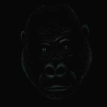 The Vector logo a monkey or gorilla named King Kong for tattoo or T-shirt design or outwear.  Cute print style a monkey or gorilla named King Kong background. This drawing would be nice to make.