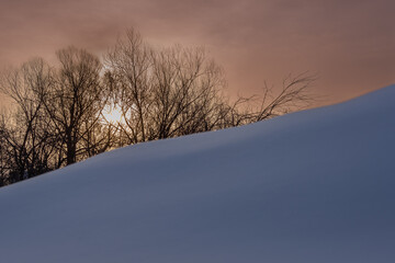 Snowy mountain and dawn behind the trees.