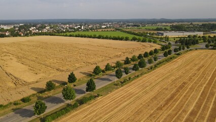 Fototapeta premium route de campagne