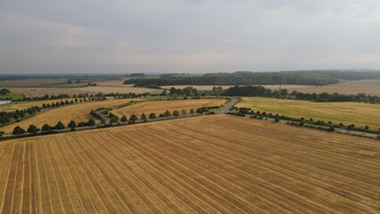 Obraz premium default