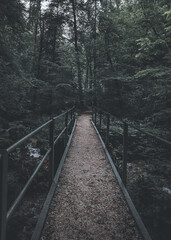 Fototapeta premium Brücke im Wald
