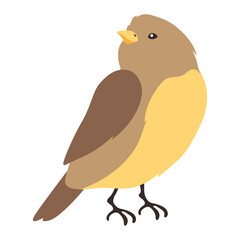 Illustration of stylized bird. Image of wild birdie in simple style.