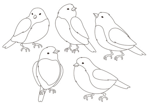 Set of stylized birds. Image of wild birdie in linear style.