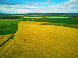 Obraz premium Aerial drone view of yellow rapeseed fields in Ile-de-France, France