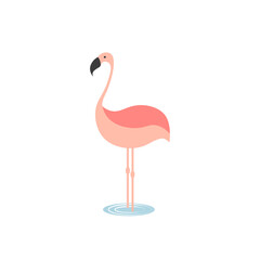 Cute pink exotic flamingo. Vector illustration	