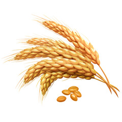 Spikelets of wheat and individual grains isolated on white