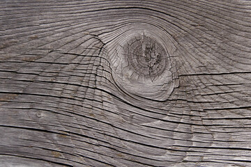 Astauge im Holzbrett.