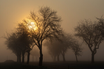 Fototapeta na wymiar sunrise near Znojmo, South Moravia, Czech Republic