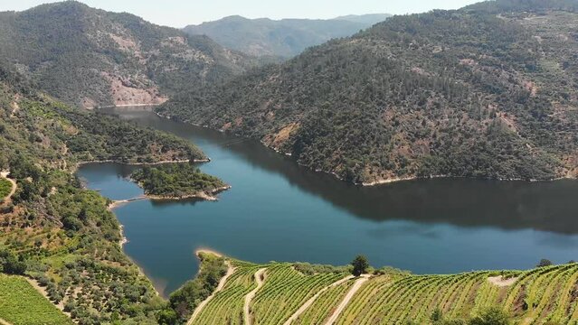 Douro river valley in Portugal, shooting made by drone, beautiful nature in summer