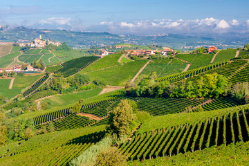 Fototapeta premium Castle and village Castiglione Falletto, Piemonte, Italy