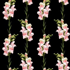 Fototapeta na wymiar Floral Seamless Pattern with Antirrhinum spring flowers. Blooming Flowers on black Background.