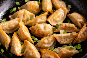 Deep fried crispy gyoza with spring onion. Asian food