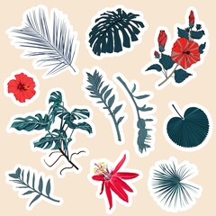 Set of stickers and icons of abstract blue tropical palm leaves, red flowers and plants illustration. Set of stickers, pins, patches and handwritten notes collection stikers kit.