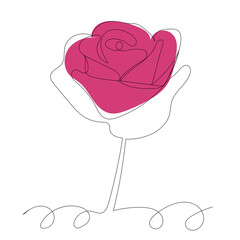 rose outline in one line, on an abstract background