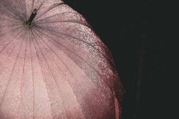 傘と雨