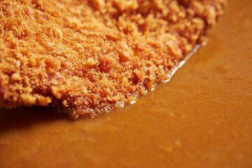 Pork cutlet and curry on a plate 