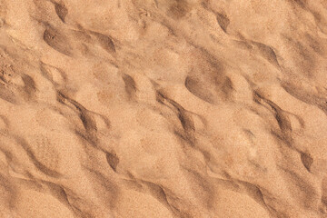 Fototapeta na wymiar Natural close up beach sand background. Light beige, white sandy beach texture. Summer vacation, travel at sea relaxation concept. Copy space, place for text