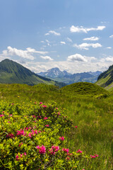 Typical alpine landscape in early summer near Damuls, Vorarlberg, Austria