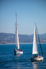 Sailboats on the Bay Sailing with the Wind and Passing Each Other