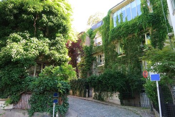 Façades végétalisées dans une rue de la ville de Paris, maisons couvertes de lierre grimpant...