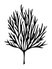 Elegant silhouette of a tree, plant icon