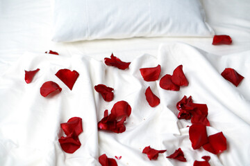 Red rose petals on a white bed. The concept of romantic relationships.