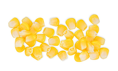 Corn seeds isolated on white background. Top view