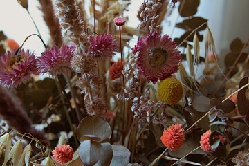 dried flowers of different colors