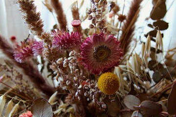 dried flowers of different colors