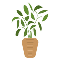 A plant in a ceramic pot. Houseplant, many leaves, spherical crown. Vector, icon, flat, isolated