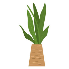 A potted plant. A houseplant with large long narrow leaves . Vector, icon, flat, isolated
