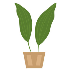 A plant in a pot of a classic shape. A houseplant with two large large leaves. Vector, icon, flat, isolated