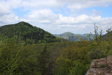 Obraz premium Pfälzerwald Südüfalz