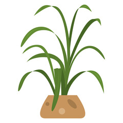 A plant in a ceramic pot. A houseplant with long narrow leaves. Vector, icon, flat, isolated